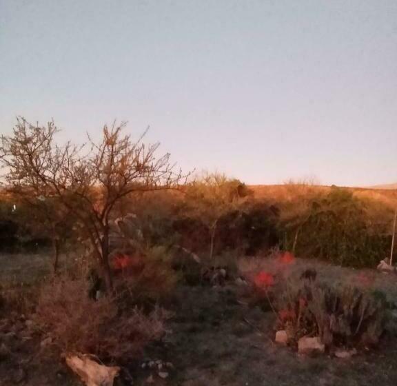 Aamiaismajoitus (B&B) Madrenatura