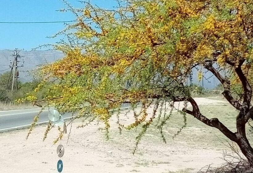 Aamiaismajoitus (B&B) Madrenatura