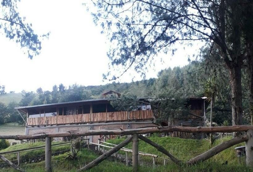 فندق El Trapiche