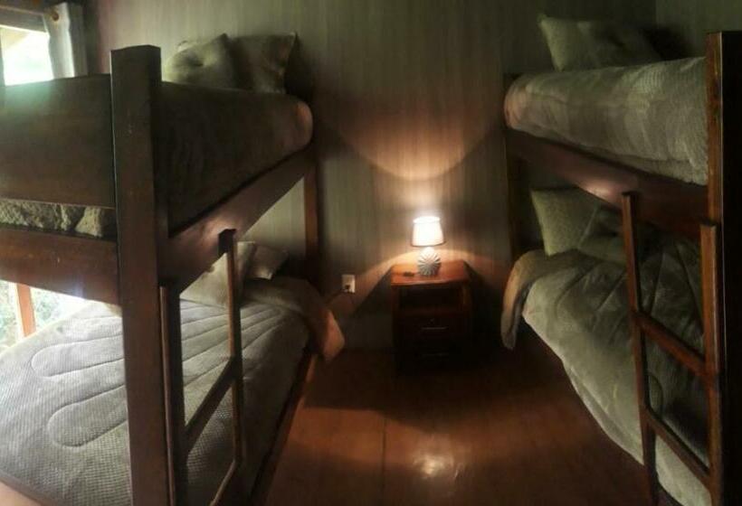 فندق El Trapiche