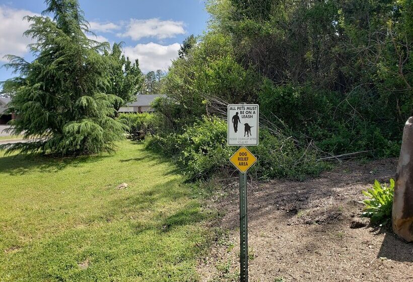 ホテル Hot Springs Village Inn