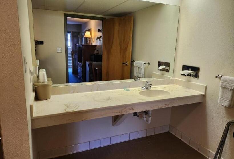 ホテル Hot Springs Village Inn