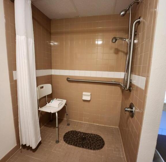 ホテル Hot Springs Village Inn