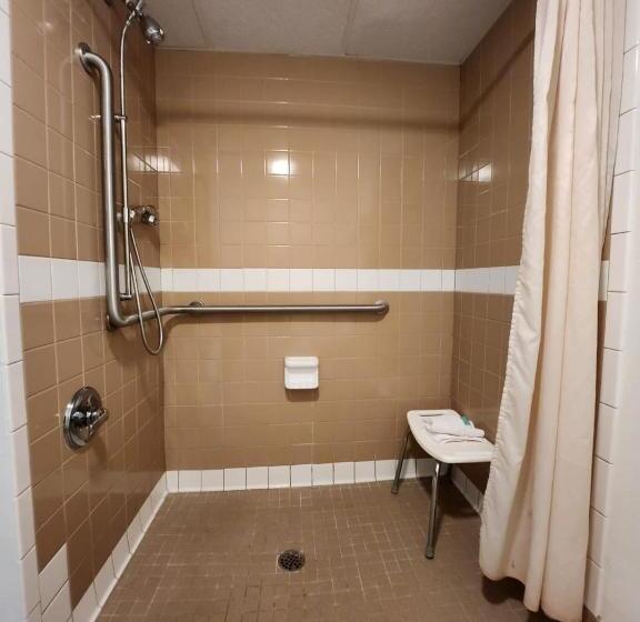 ホテル Hot Springs Village Inn