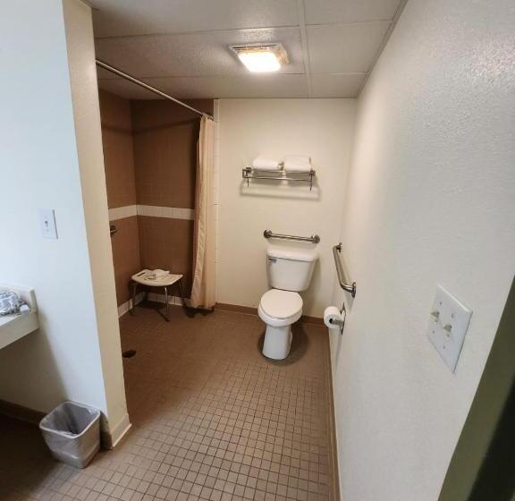 ホテル Hot Springs Village Inn