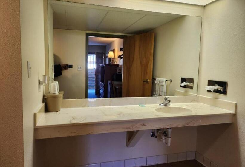 ホテル Hot Springs Village Inn