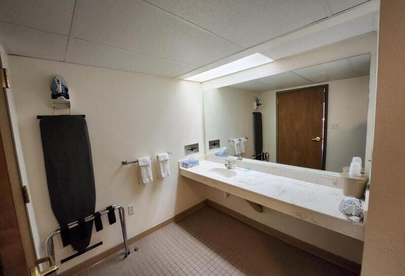 ホテル Hot Springs Village Inn