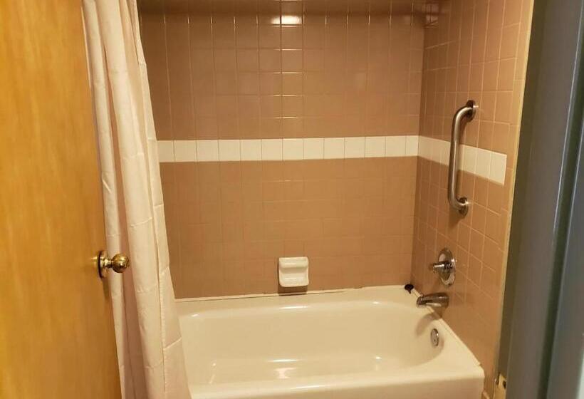 ホテル Hot Springs Village Inn