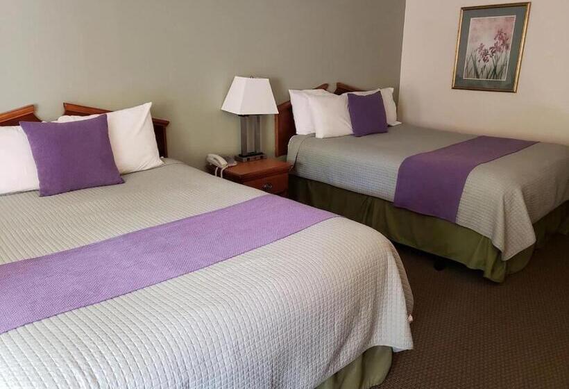 ホテル Hot Springs Village Inn