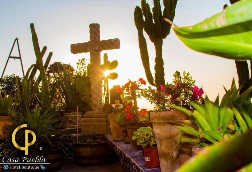 هتل Temático Casa Puebla