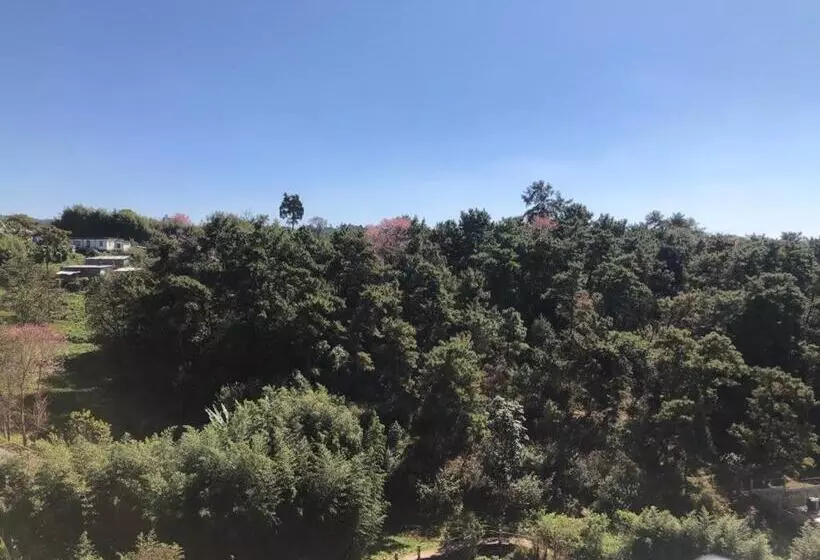 پانسیون Pine Hill Comfort Stay