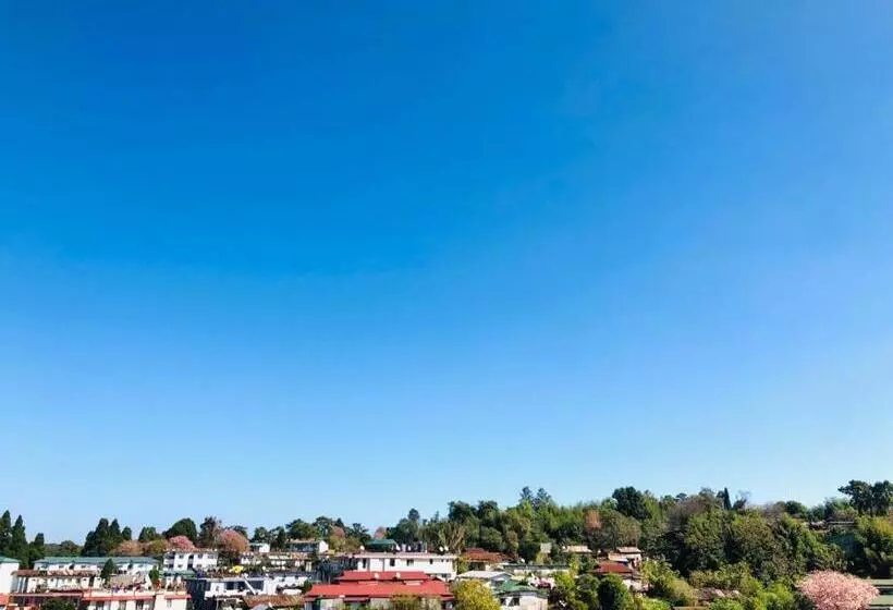 پانسیون Pine Hill Comfort Stay