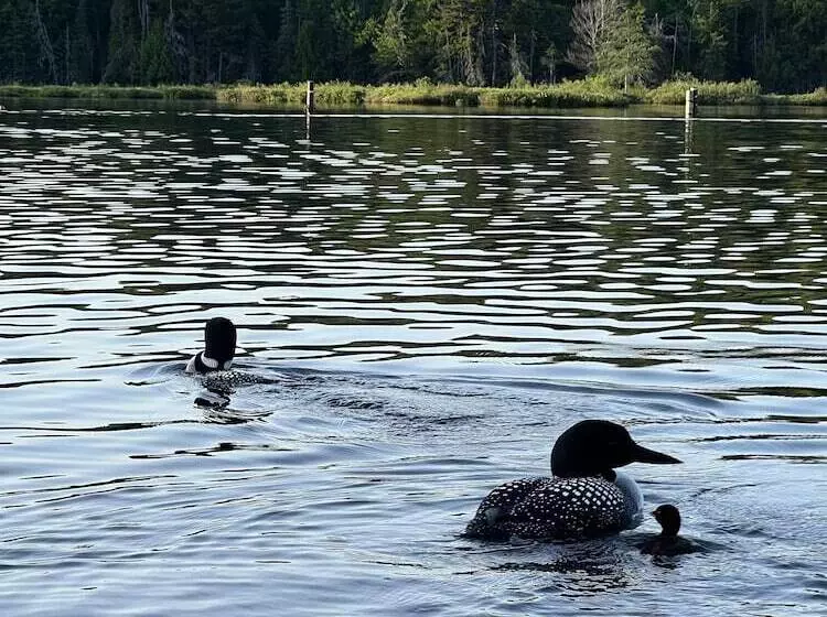 Lomakeskus Adirondack Lake Cabins