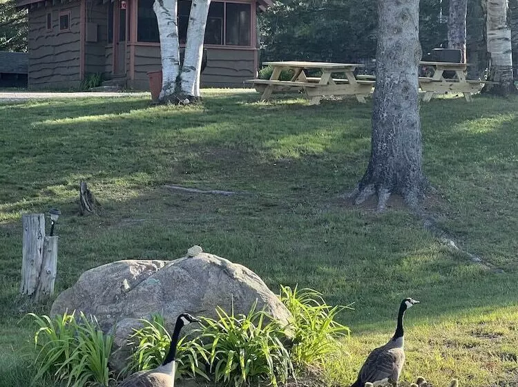 Lomakeskus Adirondack Lake Cabins