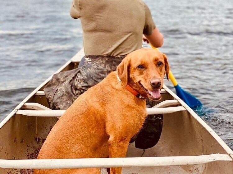 리조트 Adirondack Lake Cabins