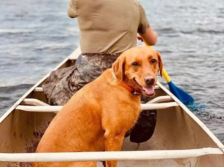 Lomakeskus Adirondack Lake Cabins