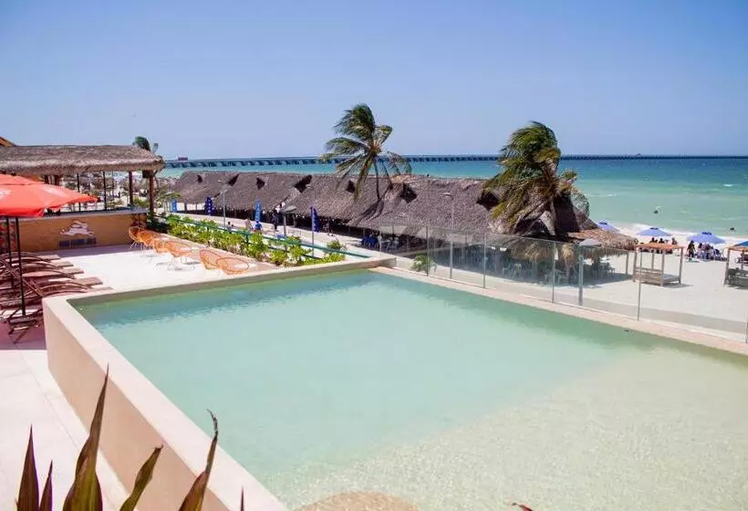 Hotel Scappata