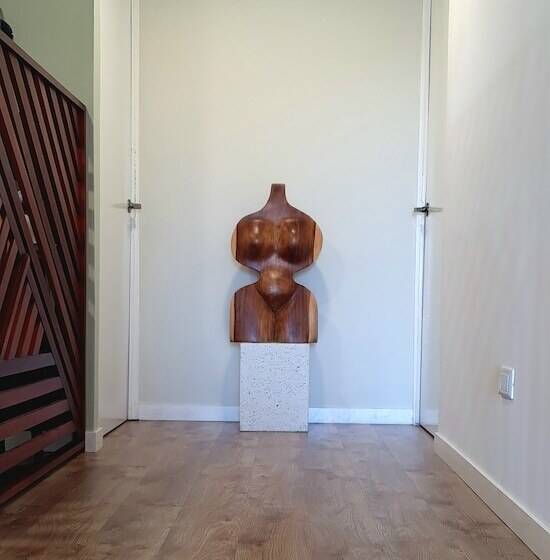 בית מלון כפרי Ventura