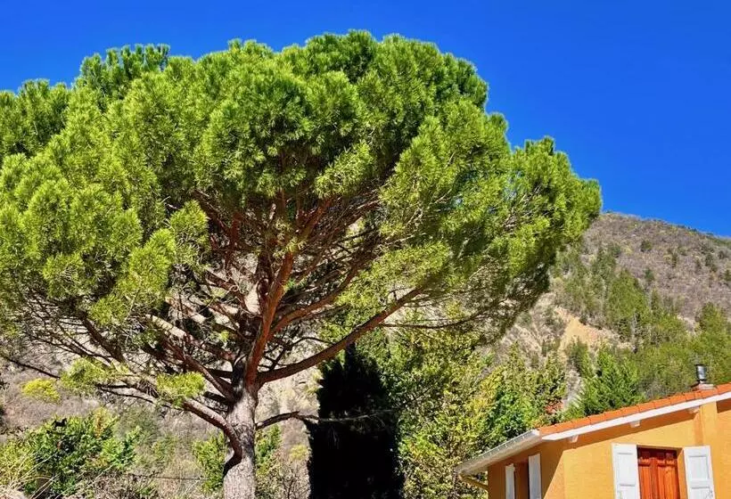 ペンション Chambres D Hôtes   Le Pin Des Arches