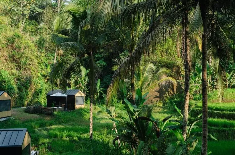 リゾートホテル Bobocabin Ubud, Bali