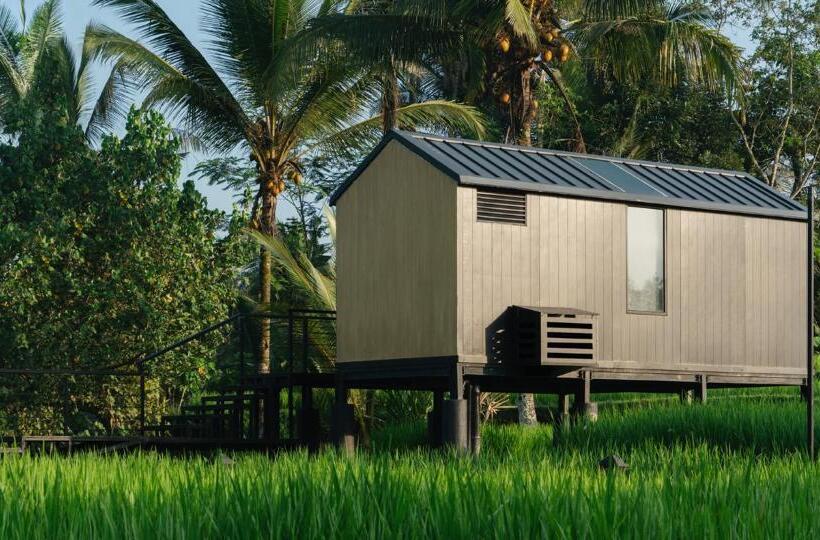 渡假胜地  Bobocabin Ubud, Bali