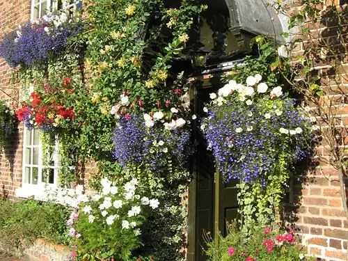 住宿加早餐 Alvanley Arms Inn