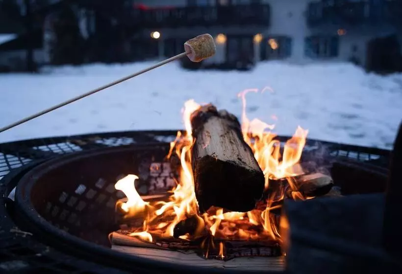 تختخواب و صبحانه Blue Elk Inn