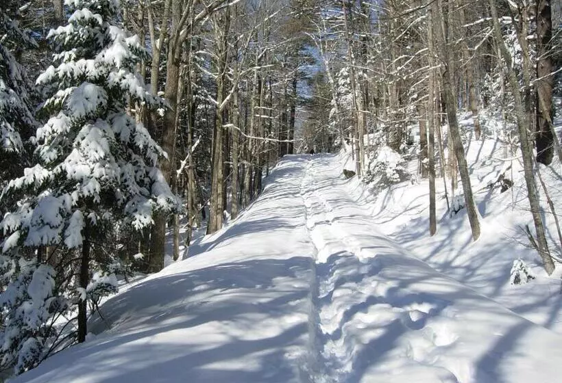 Bed & Breakfast Camden Maine Stay Inn