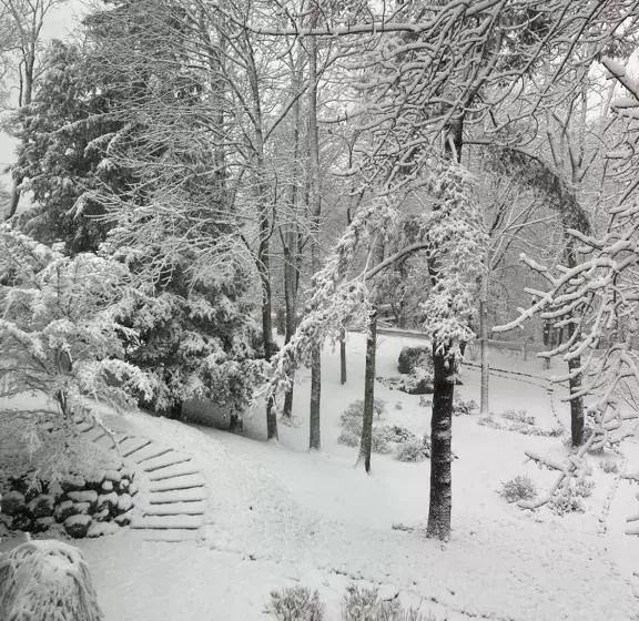 Bed & Breakfast Camden Maine Stay Inn