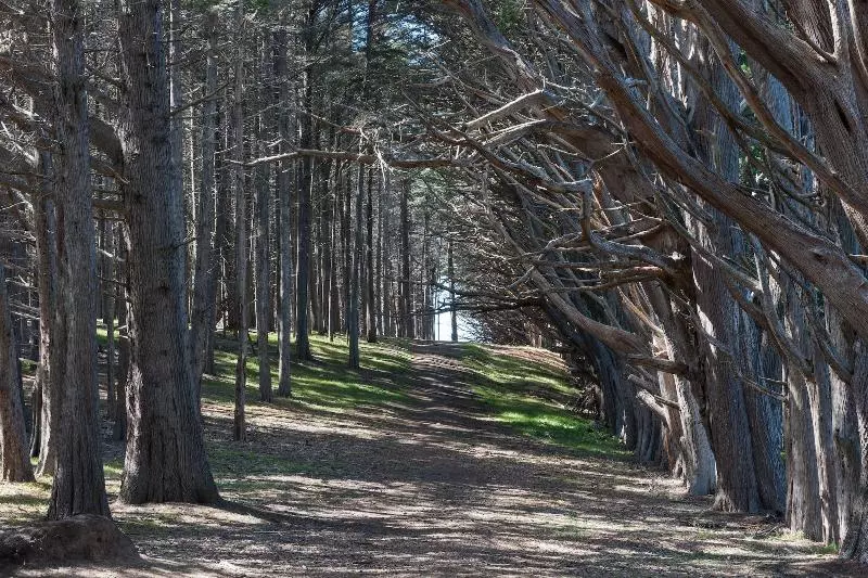 住宿加早餐 Seal Cove Inn