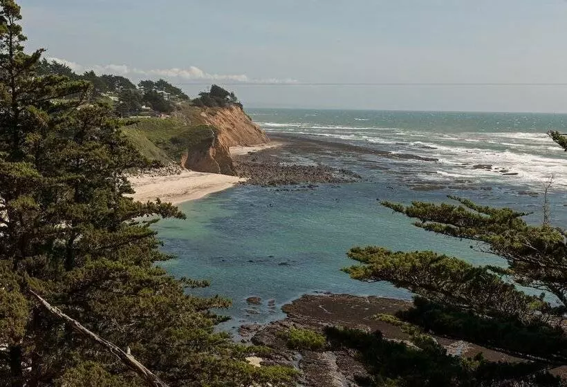 住宿加早餐 Seal Cove Inn