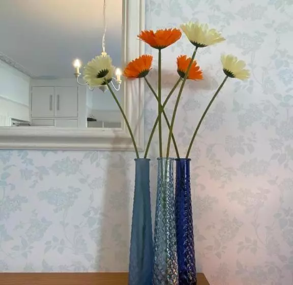 Bed and Breakfast St John's Guest House