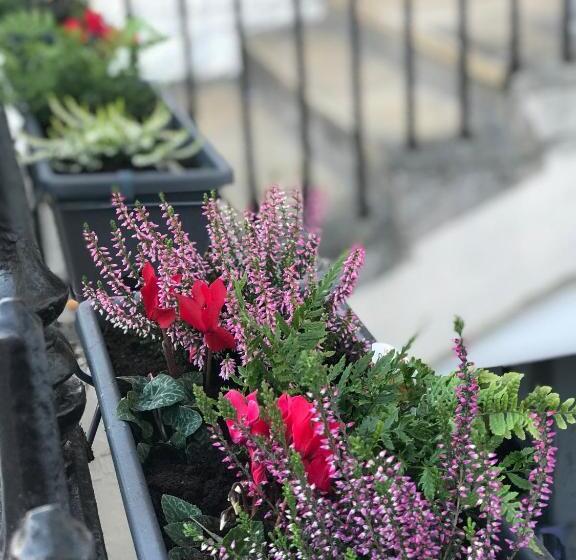 Bed and Breakfast St John's Guest House