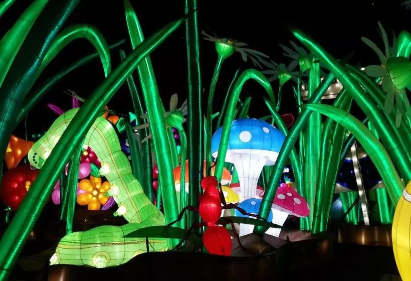 Bed and Breakfast The Falcon