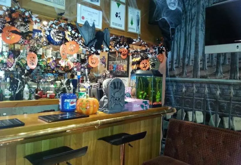 Bed and Breakfast The Falcon