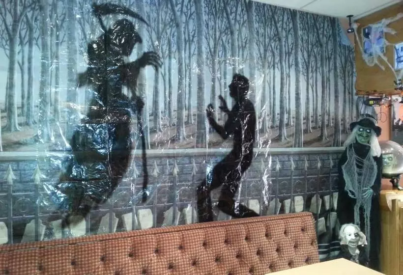 Bed and Breakfast The Falcon