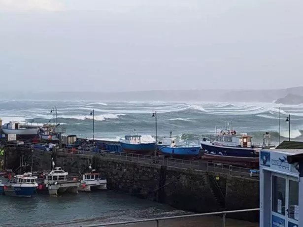 Bed and Breakfast Harbour