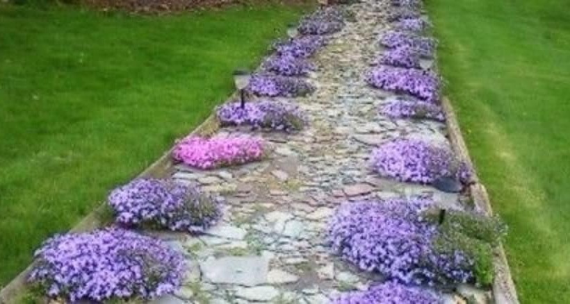 The Pines Of Dresden B&b