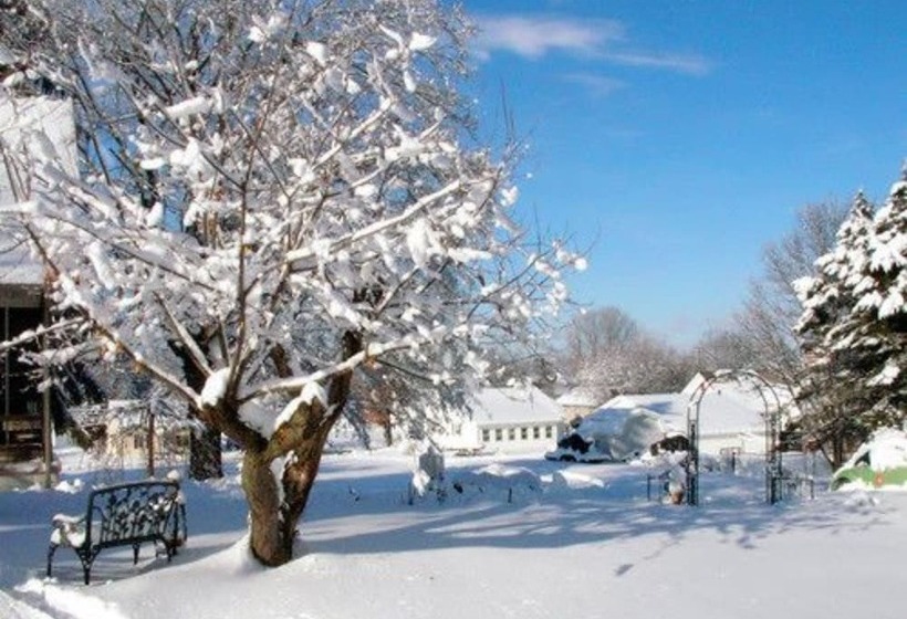 The Pines Of Dresden B&b