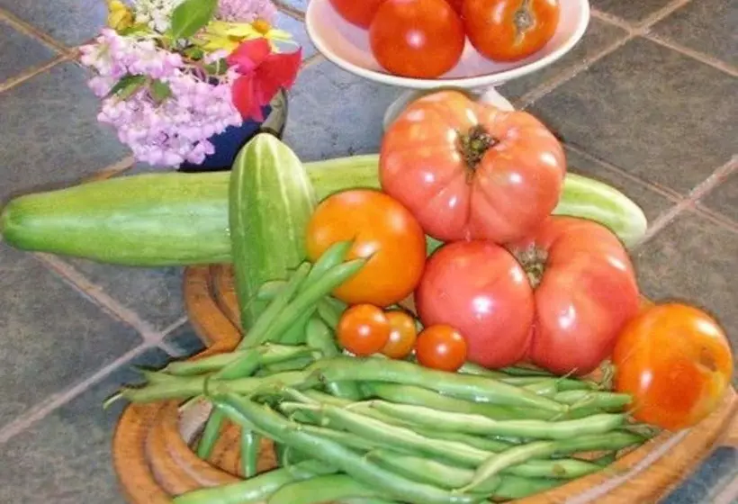 The Pines Of Dresden B&b