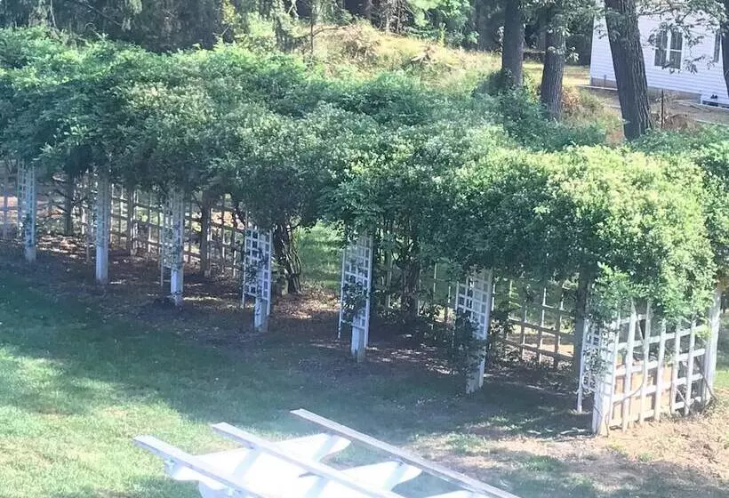 住宿加早餐  Wild Wisteria