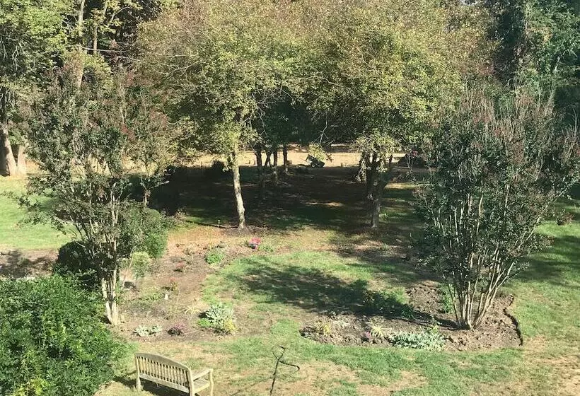 住宿加早餐  Wild Wisteria