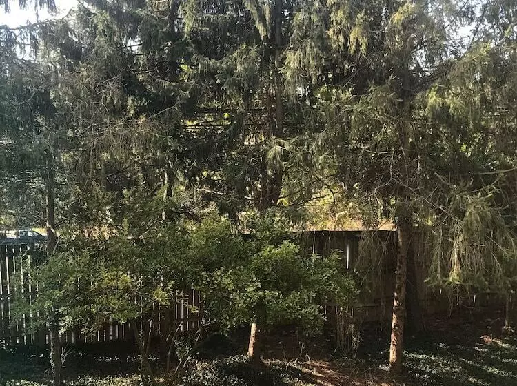 住宿加早餐  Wild Wisteria