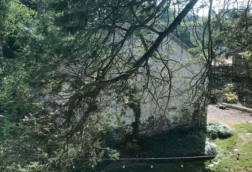 Bed and Breakfast Wild Wisteria