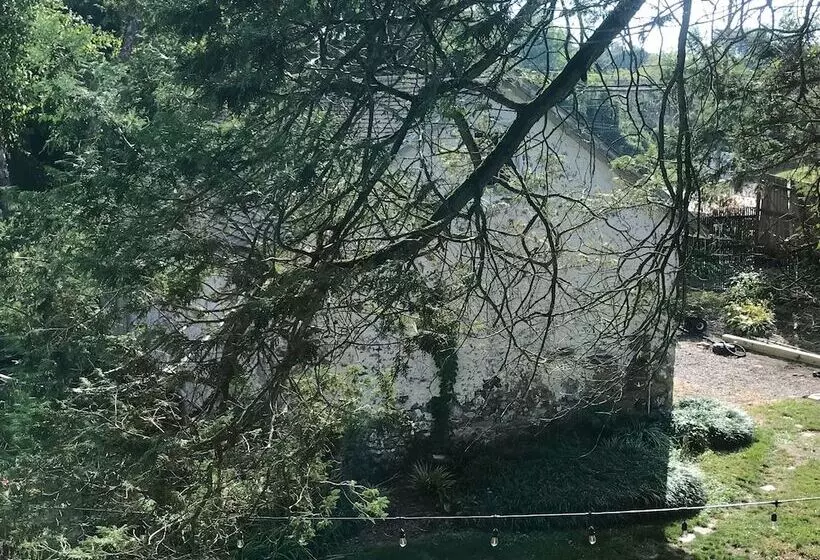 住宿加早餐  Wild Wisteria