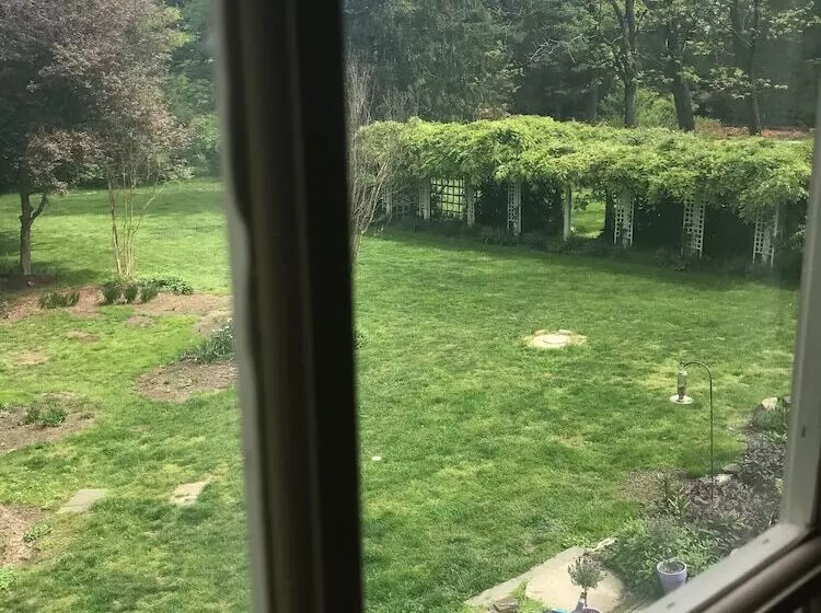 住宿加早餐  Wild Wisteria