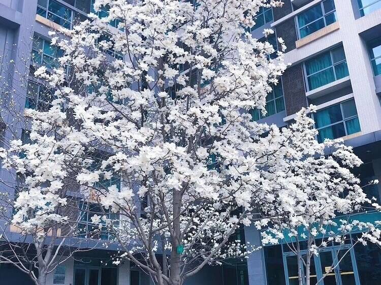 Beijing Seasons Park Apartment