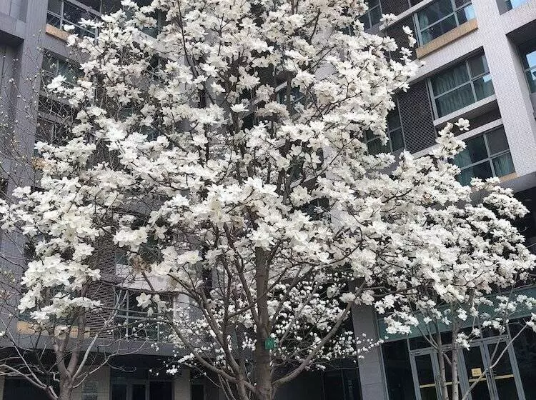 Beijing Seasons Park Apartment