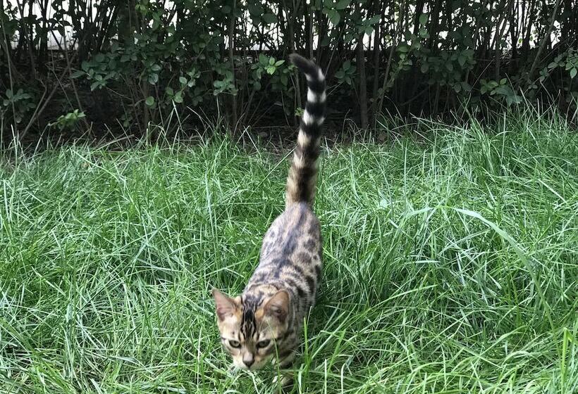 Beijing Seasons Park Apartment