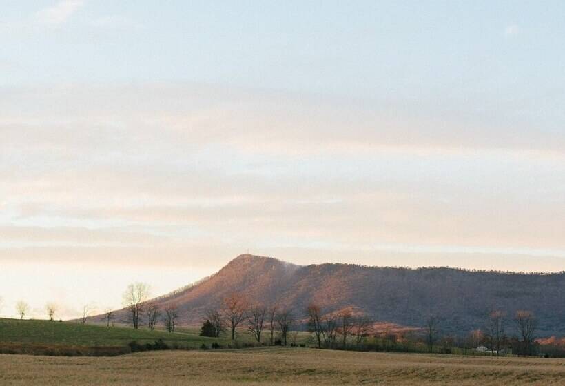 Cave Hill Farm Bed & Breakfast